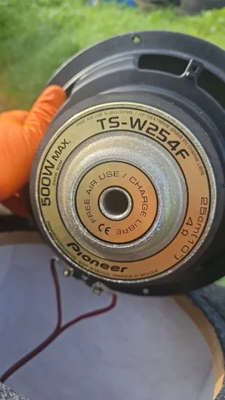 Subwoofer Pioneer TS-W254F 10 500W