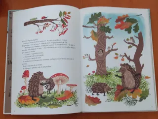 El erizo se va de casa. Ulf Stark