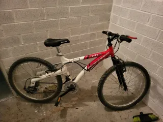 Bicicleta Montaña Boomerang Y-11