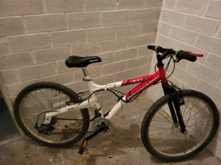 Bicicleta Montaña Boomerang Y-11