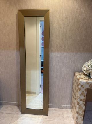 Espejo dorado/bronce mate alargado