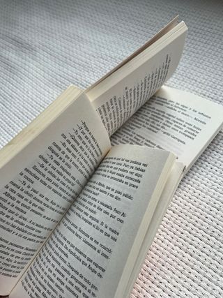 Pandillas rivales (El Barco De Vapor) (Spanish ...