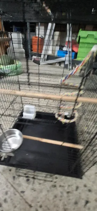 Jaula grande para loro
