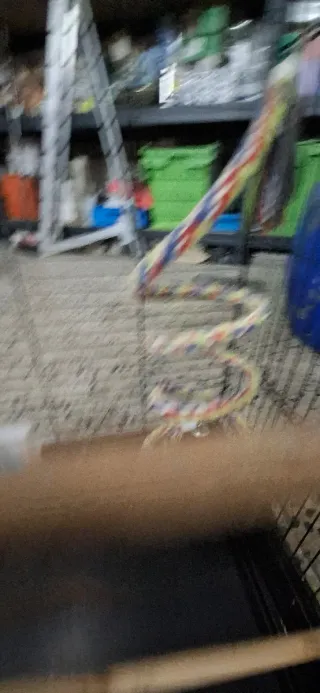 Jaula grande para loro