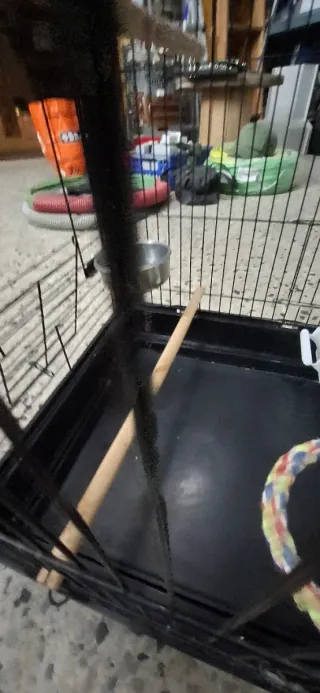 Jaula grande para loro