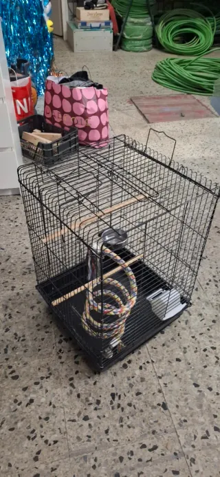 Jaula grande para loro
