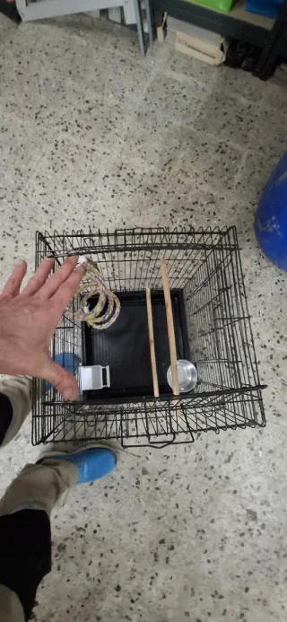 Jaula grande para loro