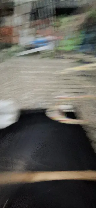 Jaula grande para loro