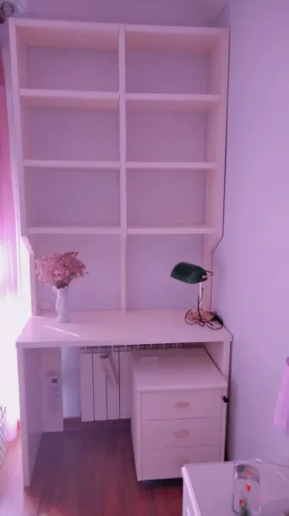 Escritorio y estanteria