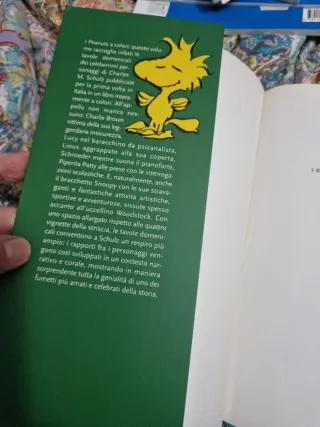 Peanuts fumetti da collezione