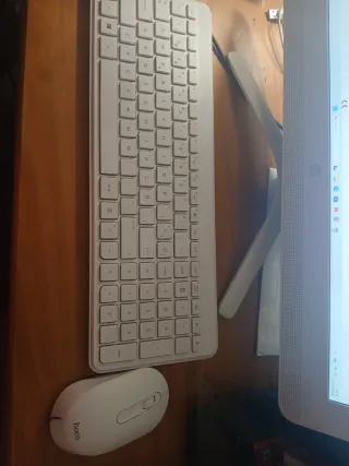 Ordenador HP All-in-One Blanco con web cam