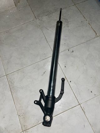 Kawasaki Z900 2021 Piezas Originales