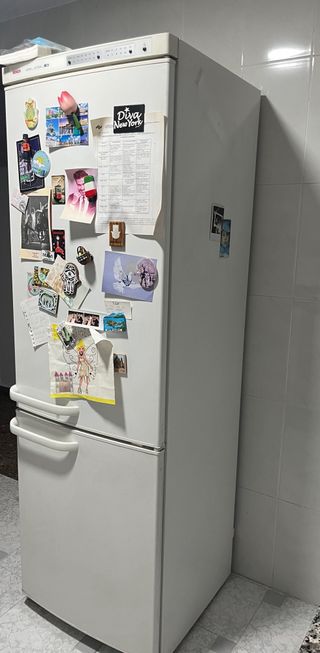 Nevera y Secadora Bosch, y lavadora whirlpool