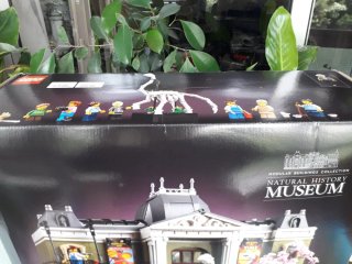 LEGO Museo Historia Natural 10326