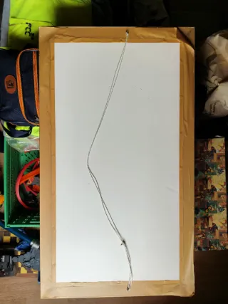 Cuadro Antiguo Flores Secas