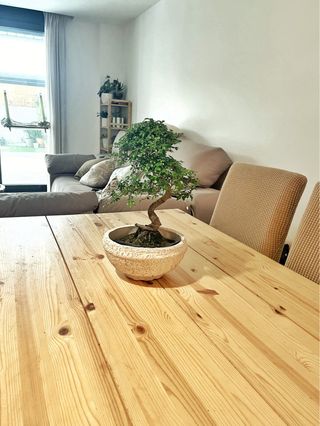 Mesa Comedor Madera Abeto Rústica