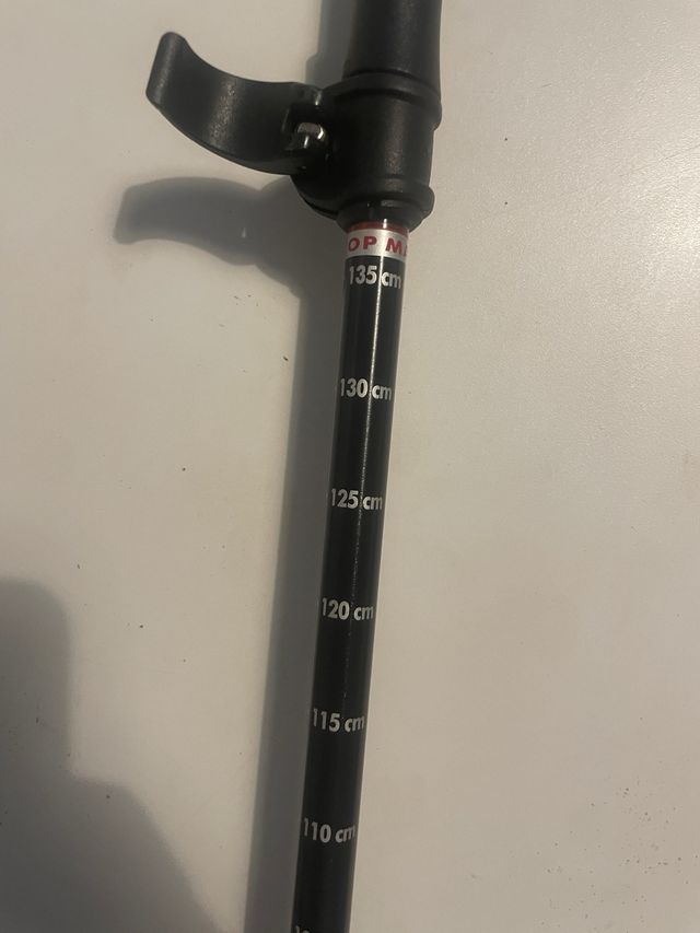 Bastón de trekking ajustable