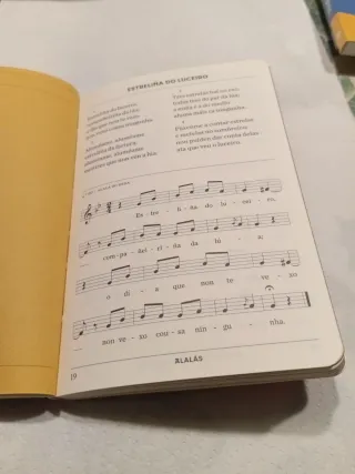 Eu non canto por cantar