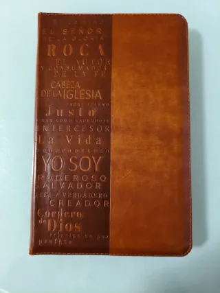 Biblia RVR 1960 letra grande tamaño manual cane...