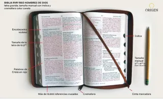 Biblia RVR 1960 letra grande tamaño manual cane...