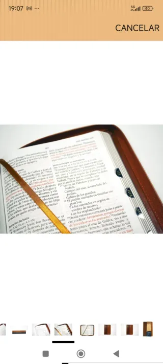 Biblia RVR 1960 letra grande tamaño manual cane...