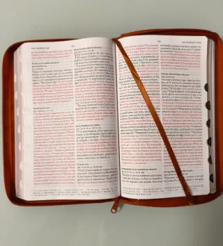 Biblia RVR 1960 letra grande tamaño manual cane...