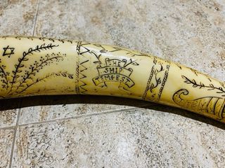 Reproducción cuerno elefante decorativo