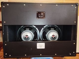 Marshall DSL100H LIQUIDACIÓN