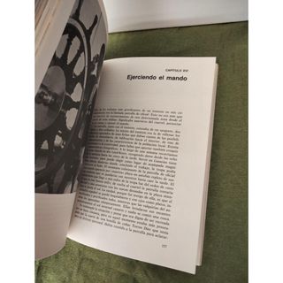 Memorias de un nieto de Franco