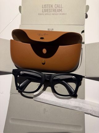 Ray-Ban Wayfarer Meta Mod 4008 G1