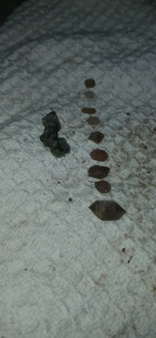 Lote de 10 cristales de cuarzo extraidos de mina