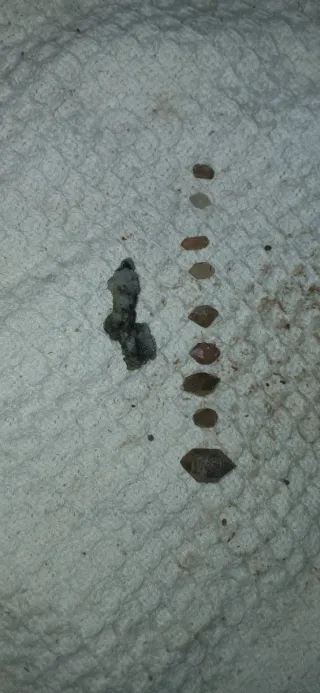 Lote de 10 cristales de cuarzo extraidos de mina