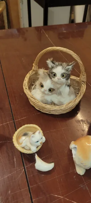 Set di figure di gatti