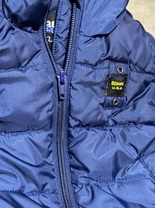 Blauer Giubbino Bimbo 12 Mesi Blu