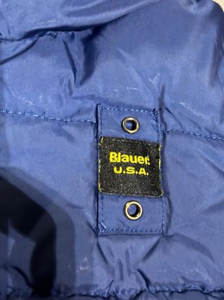 Blauer Giubbino Bimbo 12 Mesi Blu