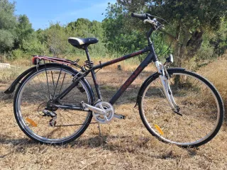 Bicicleta de paseo