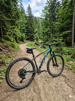 Colouer Poison Talla M Carbono 29