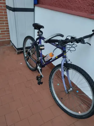 Bicicleta de Montaña Orbea Morada