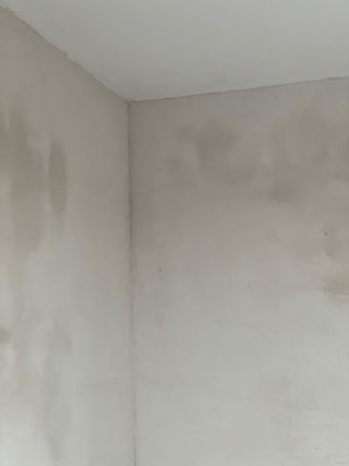 Reforma, albañileria