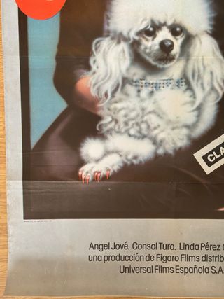 Cartel Película Camiche Bigas Luna