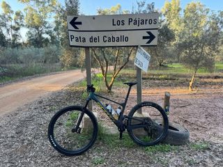 Scott Spark Bicicleta Montaña.