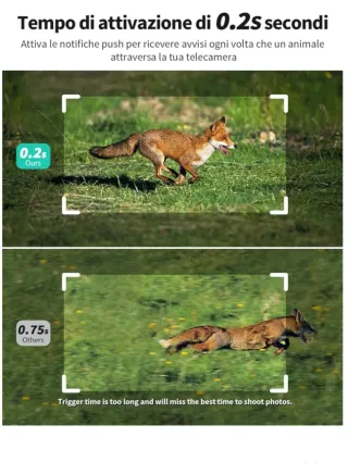 Fototrappola con pannello solare e sim 4g