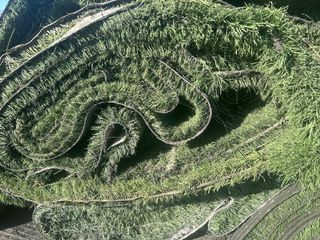 Césped artificial en rollo