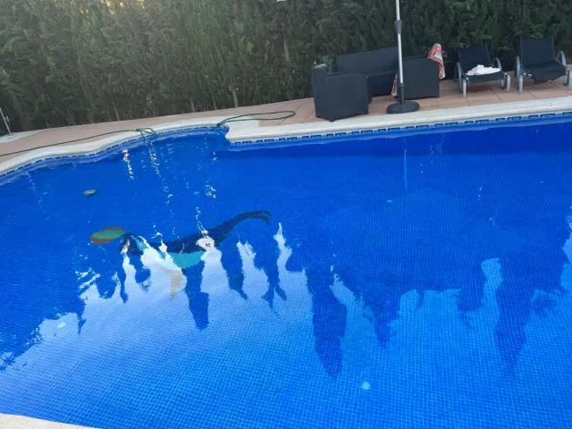 Robot Limpiafondos Piscina Zodiac vortex 4WD RV538