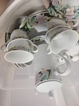 Vajilla completa diaria