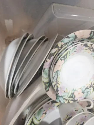 Vajilla completa diaria