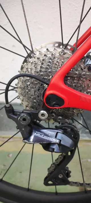 Canyon Endurace SL 8 Talla M Roja.