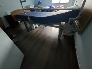 Cama eléctrica con colchón
