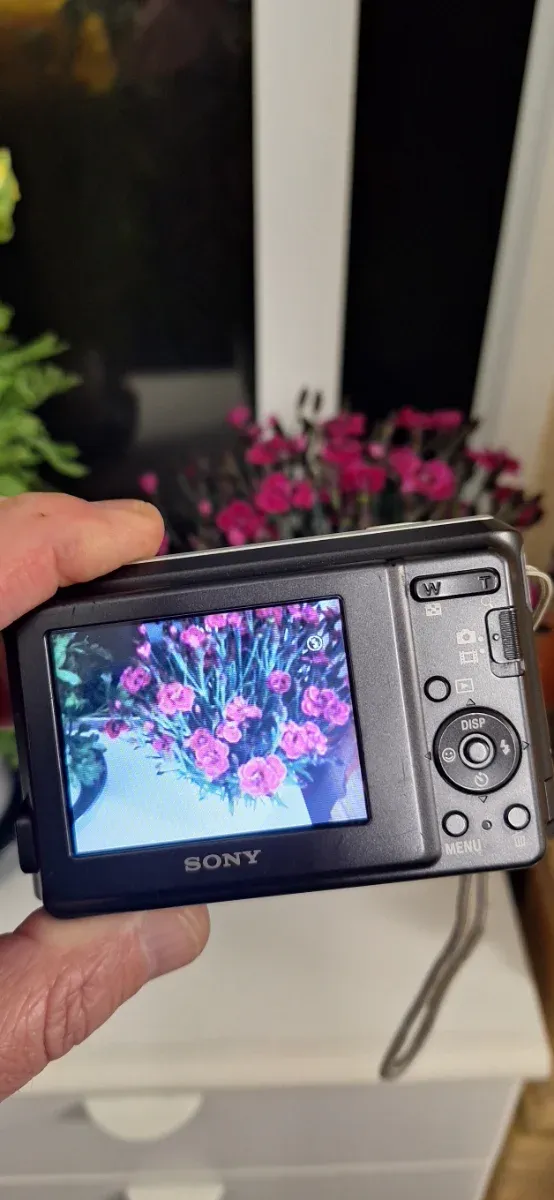 Sony Cyber-shot DSC-S2000 Cámara Digital 10.1MP