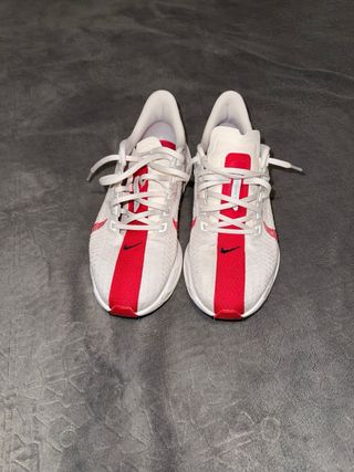 Nike Pegasus Plus zapatillas running